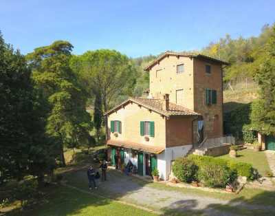 PODERE TORRE DEGLI ULIVI, PALAIA