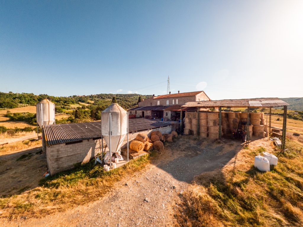 L-51: Lajatico, gård som skal totalrenoveres, med 7 hektar tomt og fantastisk panoramautsikt